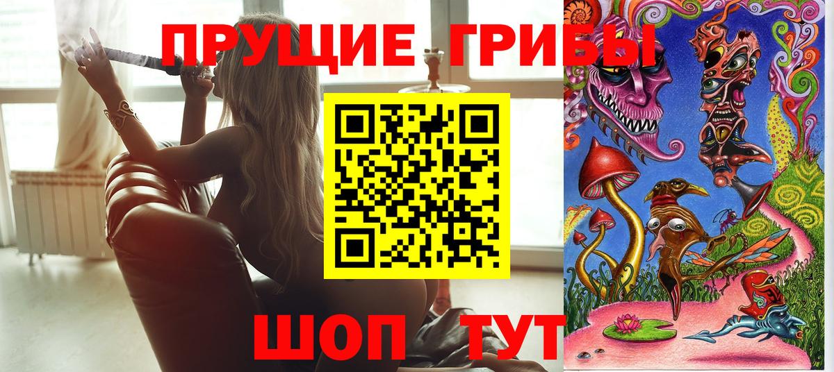 Псилоцибиновые грибы GOLDEN TEACHER  Вход с VPN  Мелеуз 